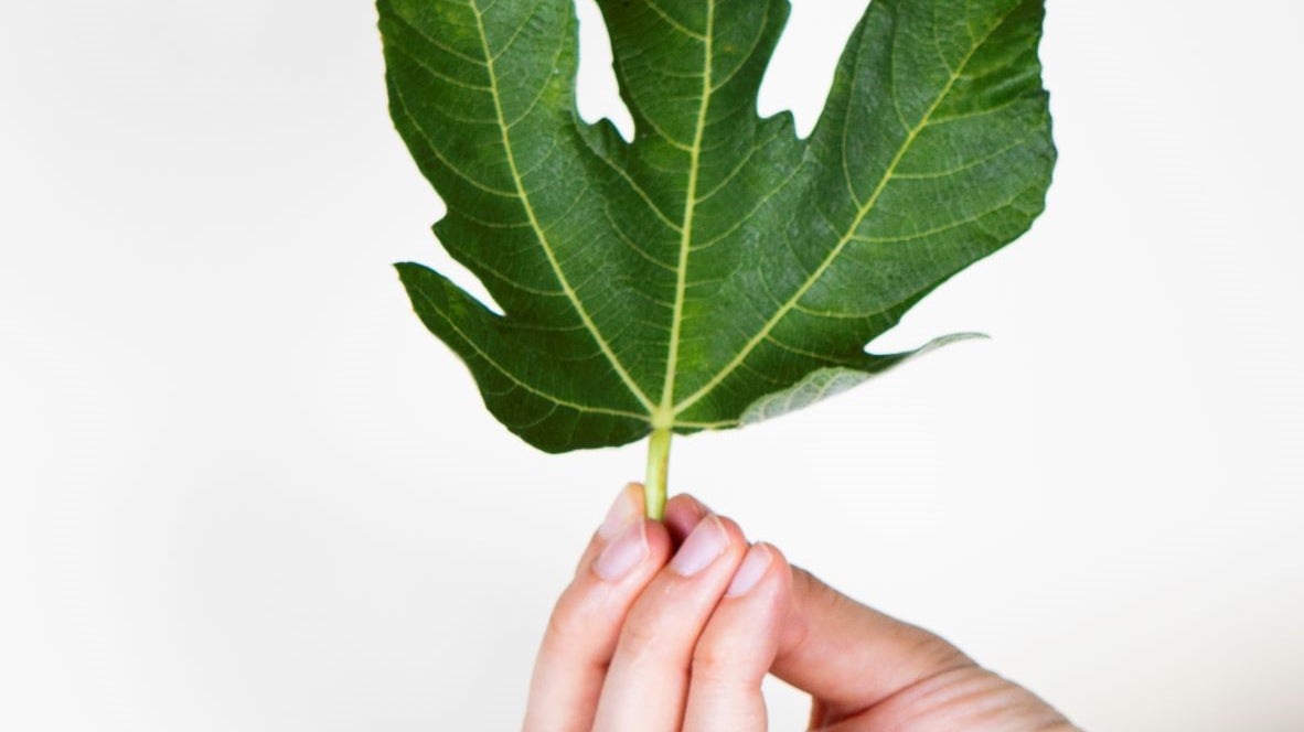 Pause, Breathe and Unwind With Our Slow Essentials