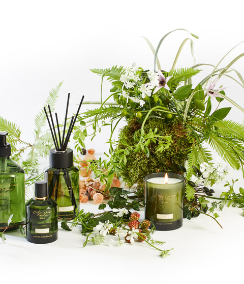 Christian Tortu Forest Collection displayed against a white background and green foliage