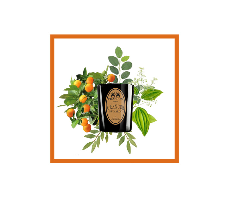 Lothantique 100mL Eau de Toilette Clémentine