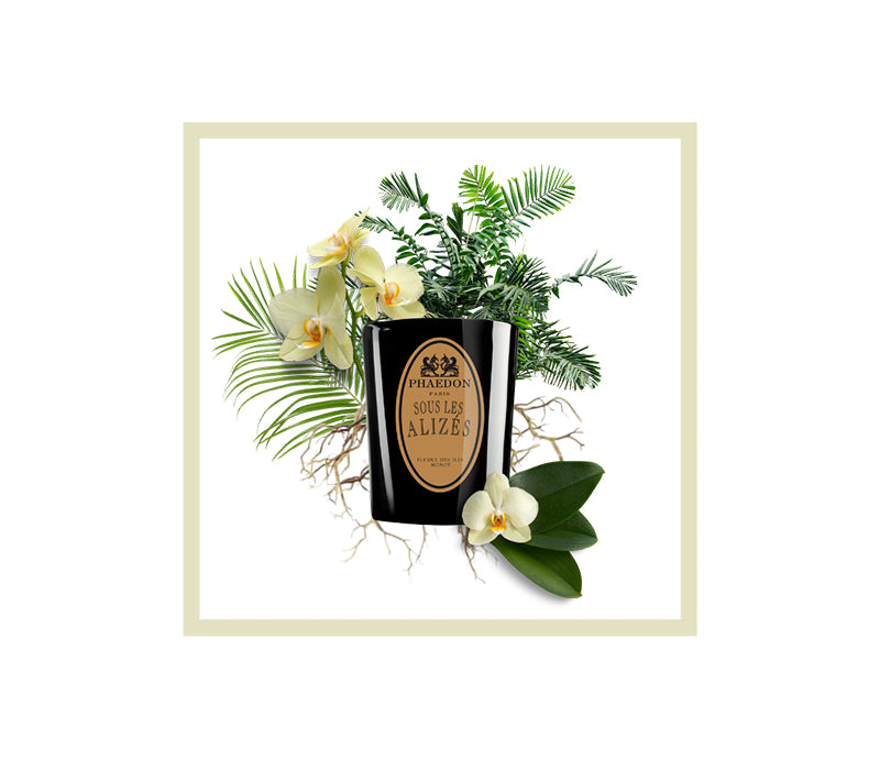 Lothantique 100mL Eau de Toilette Clémentine