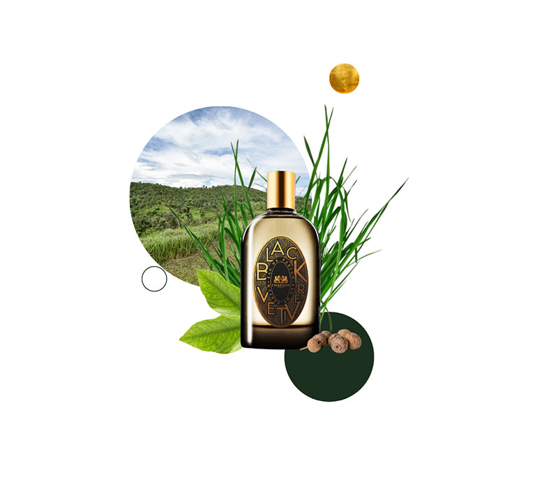Lothantique 100mL Eau de Toilette Clémentine