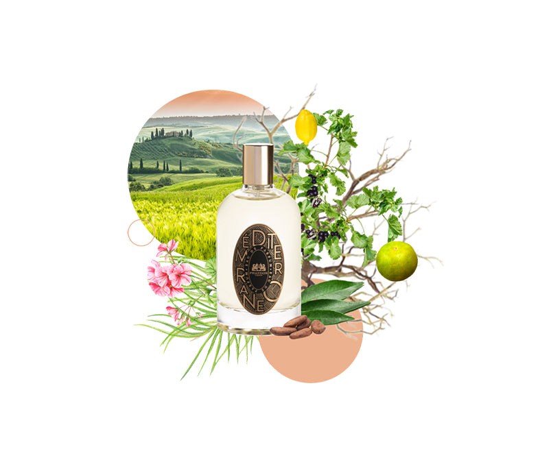 Lothantique 100mL Eau de Toilette Clémentine