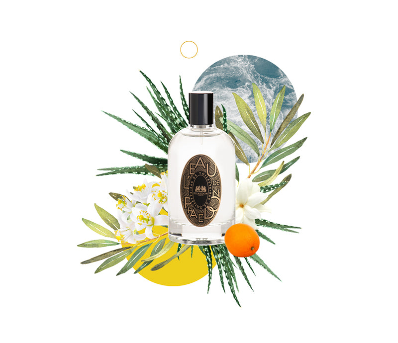 Lothantique 100mL Eau de Toilette Clémentine