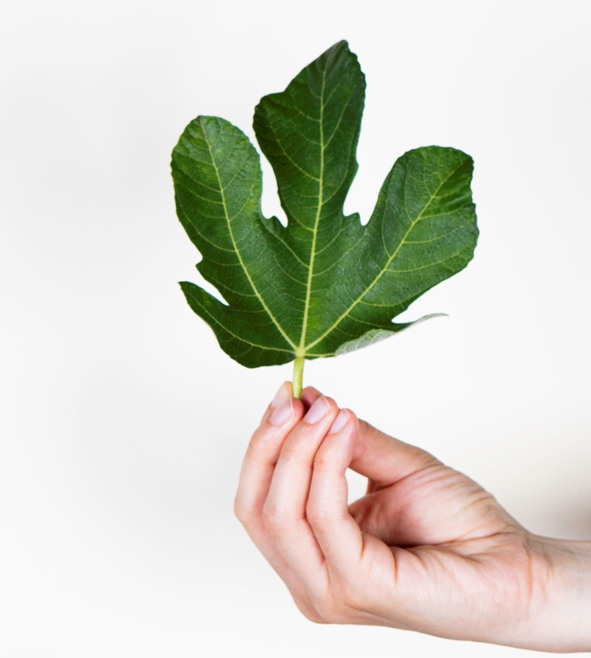 Pause, Breathe and Unwind With Our Slow Essentials