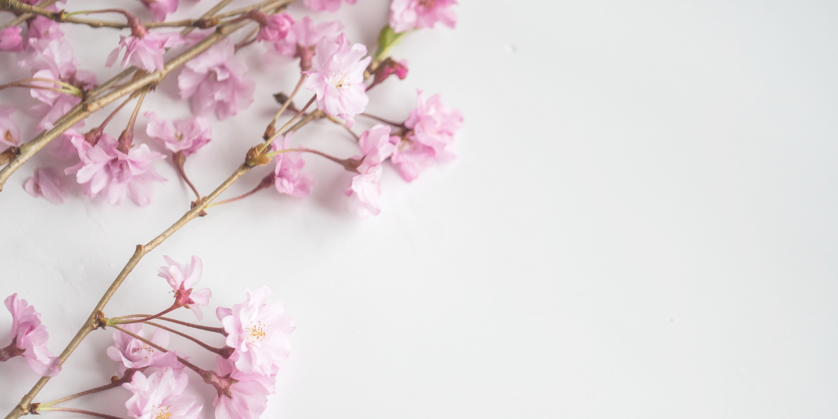 May must-haves