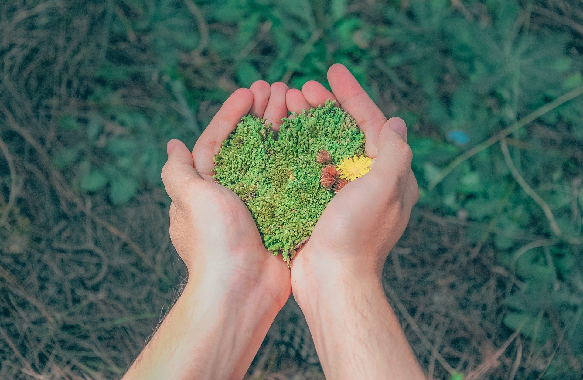 How Eco-Friendly Shopping Can Make a Difference - Pexel Image