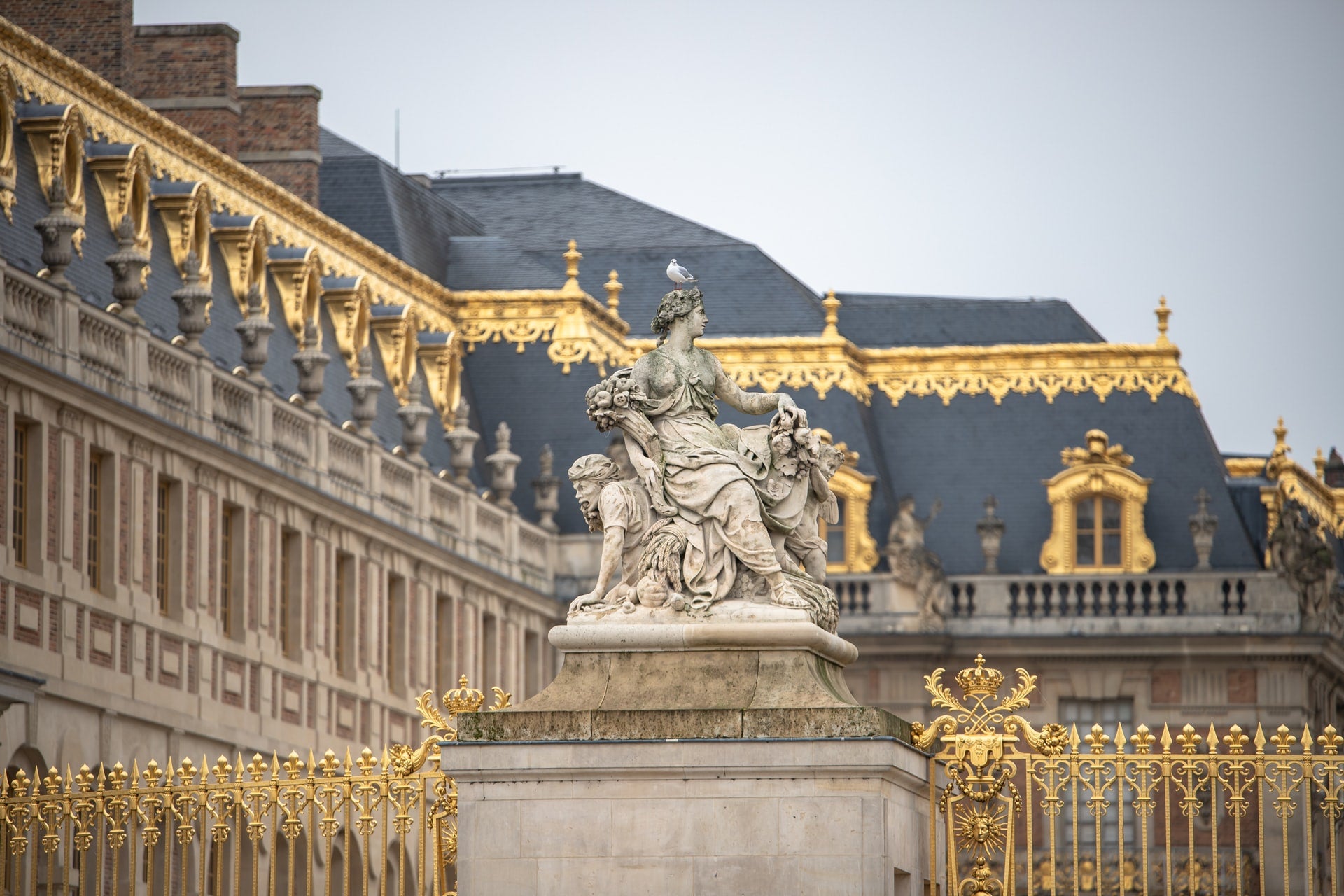 You Smell like Royalty - Unsplash Image