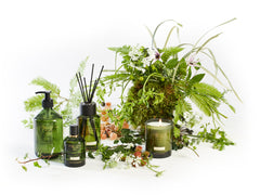 Christian Tortu Forest Collection displayed against a white background and green foliage