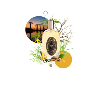 Phaedon Paris Eau de Parfum Ilanguara